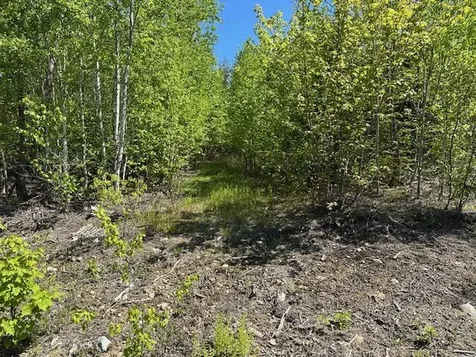 Lot 4 Mount Jefferson Heights Lee ME 04455