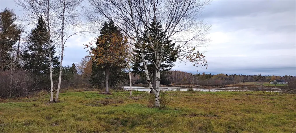 1489 Indian River Road Jonesport ME 04649