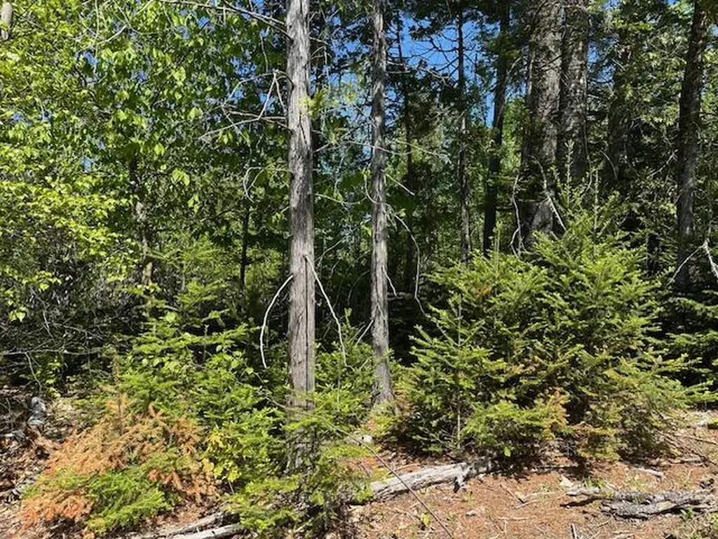 Lot 3 Mount Jefferson Heights Lee ME 04455