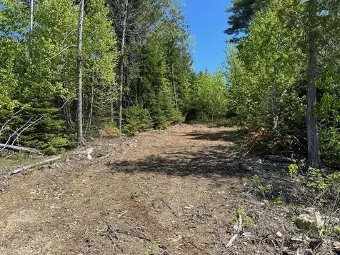 Lot 3 Mount Jefferson Heights Lee ME 04455