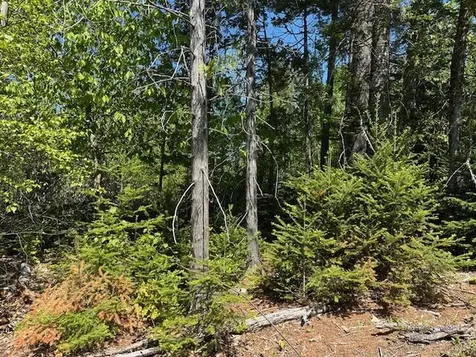 Lot 3 Mount Jefferson Heights Lee ME 04455