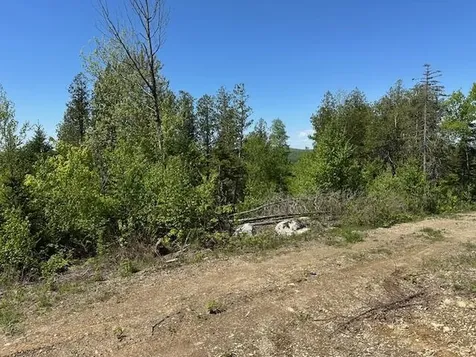 Lot 3 Mount Jefferson Heights Lee ME 04455
