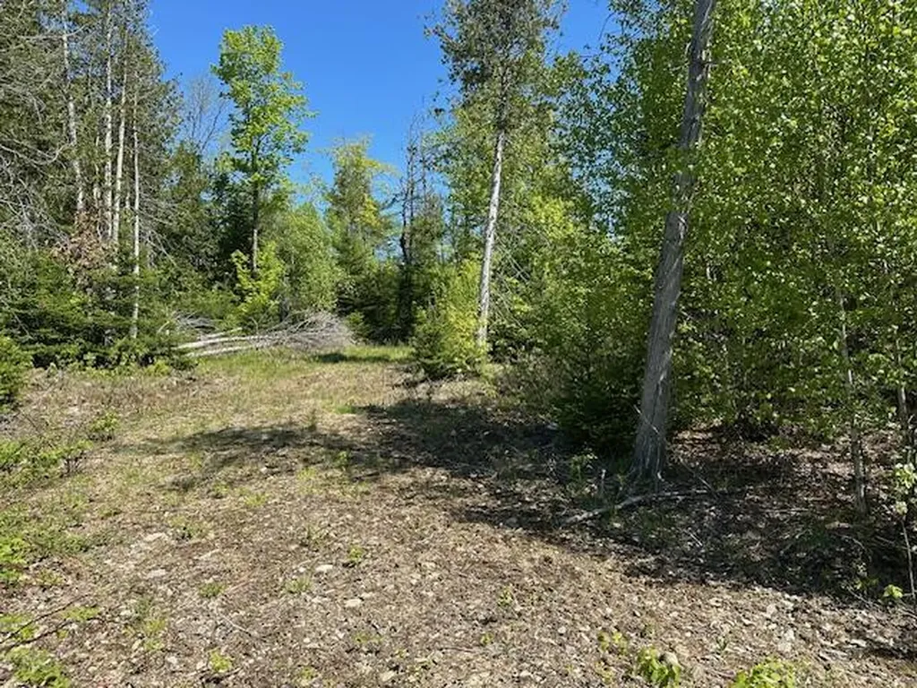 Lot 2 Mount Jefferson Heights Lee ME 04455