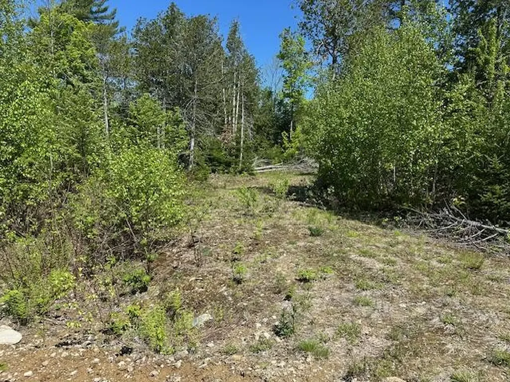 Lot 2 Mount Jefferson Heights Lee ME 04455