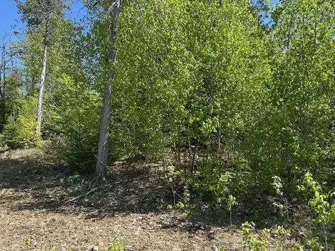 Lot 2 Mount Jefferson Heights Lee ME 04455