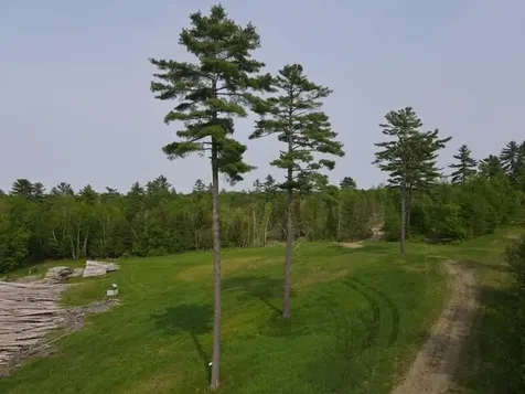 Lot 2 Mount Jefferson Heights Lee ME 04455