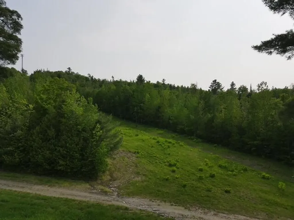 Lot 5 Mount Jefferson Heights Lee ME 04455