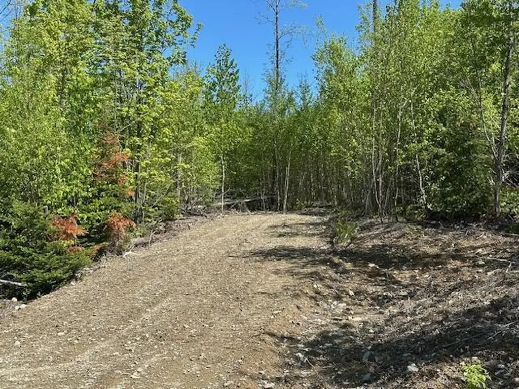 Lot 5 Mount Jefferson Heights Lee ME 04455