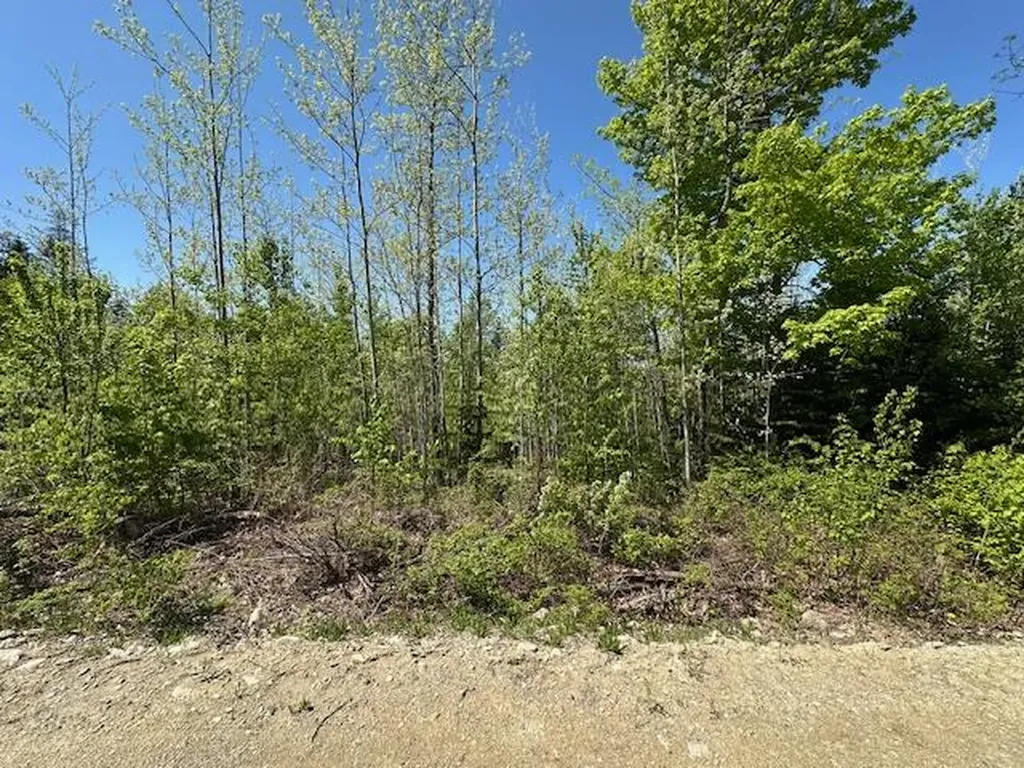 Lot 5 Mount Jefferson Heights Lee ME 04455