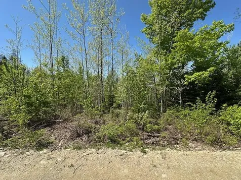 Lot 5 Mount Jefferson Heights Lee ME 04455
