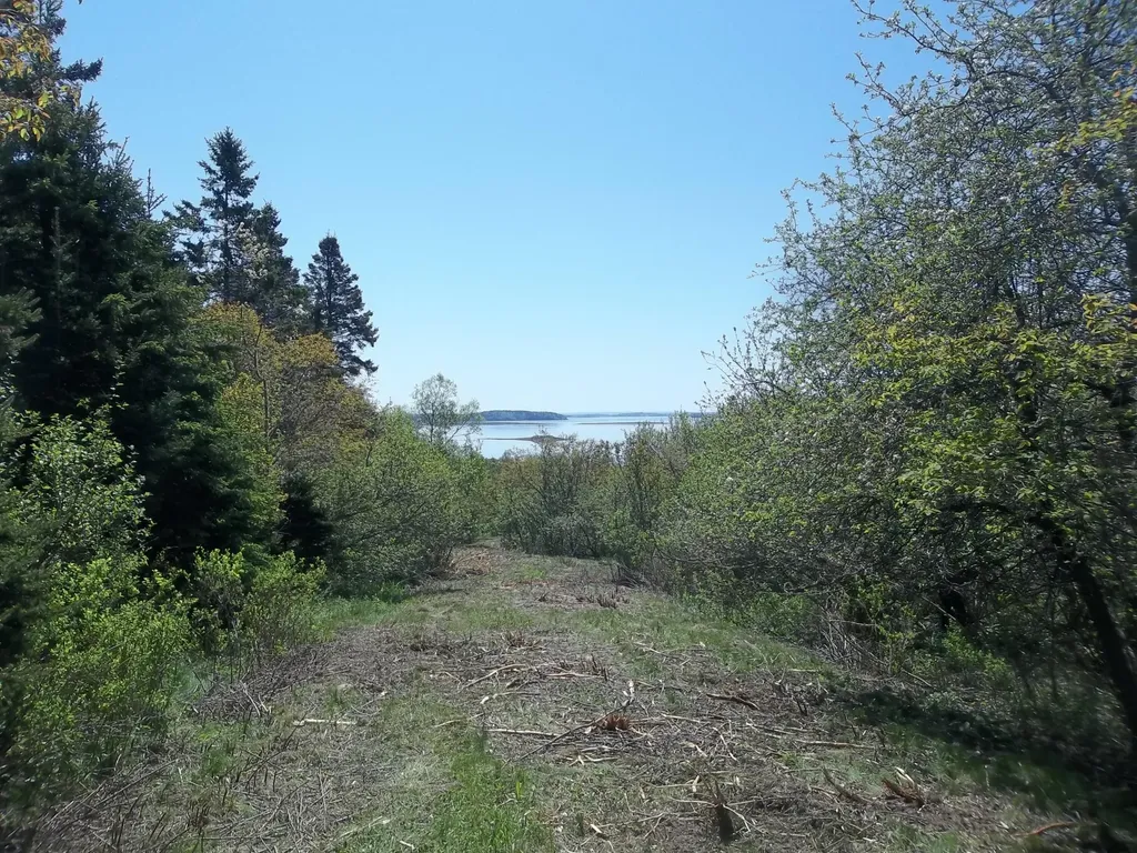 M2 L13-1 Lincoln Cove Road Perry ME 04667