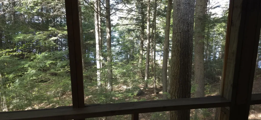 1261 Turkey Tail Road T4 Indian Purchase Twp ME 04462
