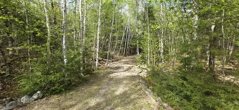 1261 Turkey Tail Road T4 Indian Purchase Twp ME 04462