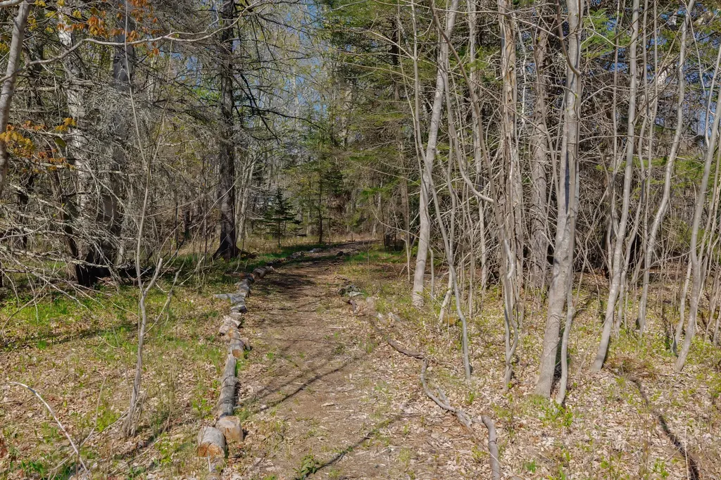 438 Oak Point Road Trenton ME 04605