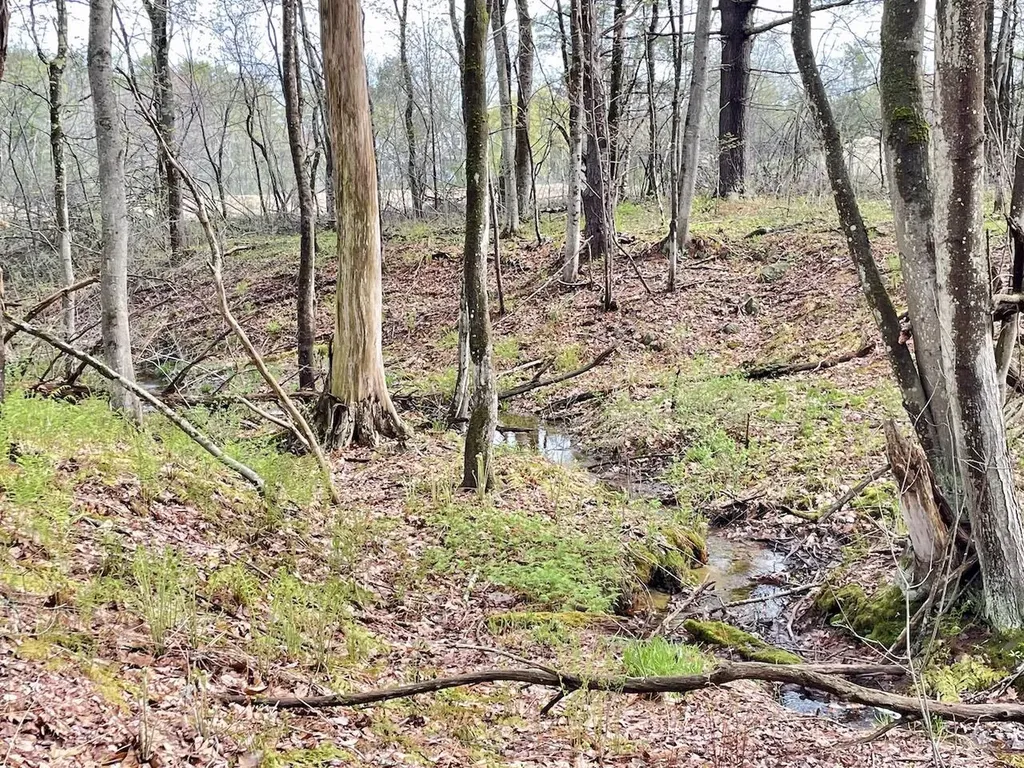 11 Coastal Pines Lot 5 Cumberland ME 04021