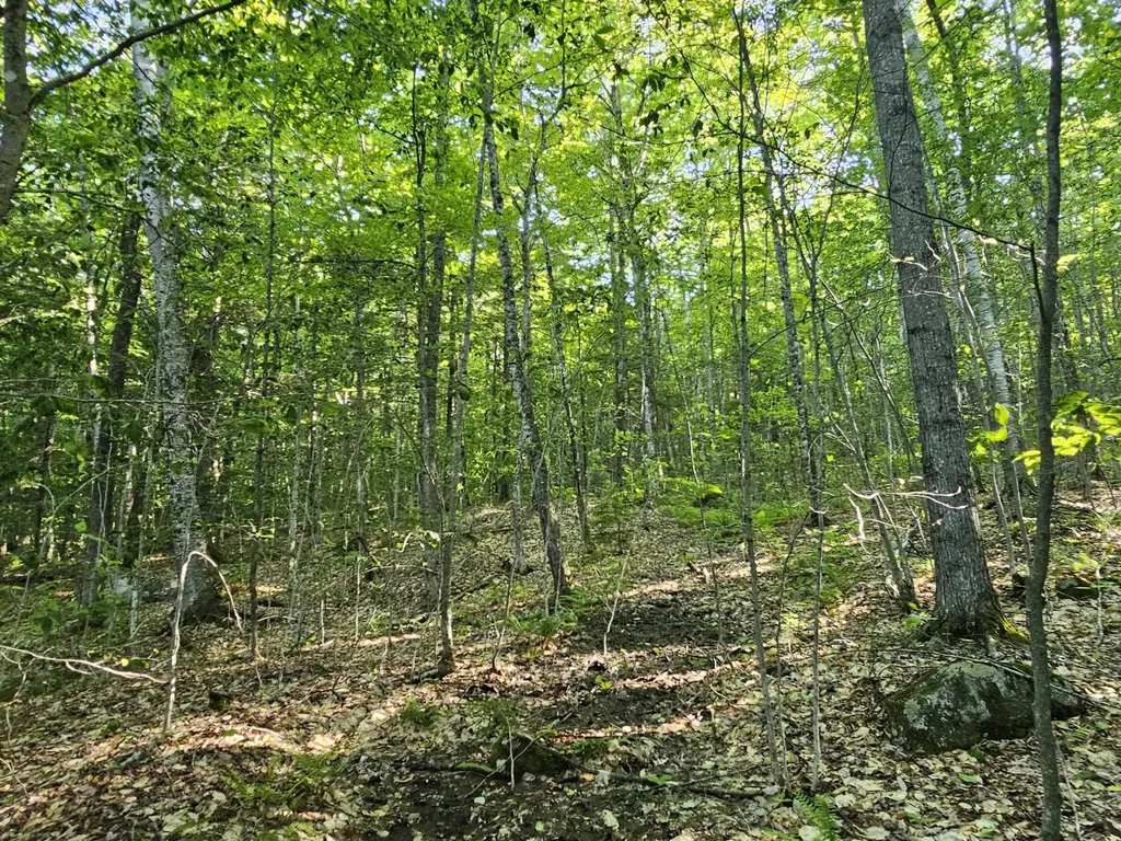 Po M23-l6 Great Moose Drive Hartland ME 04943