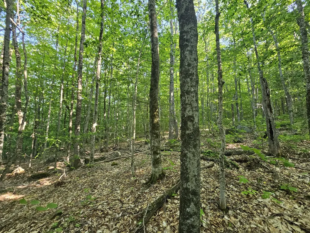 Po M23-l6 Great Moose Drive Hartland ME 04943