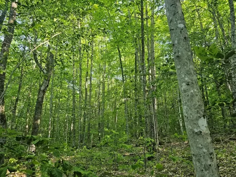 Po M23-l6 Great Moose Drive Hartland ME 04943