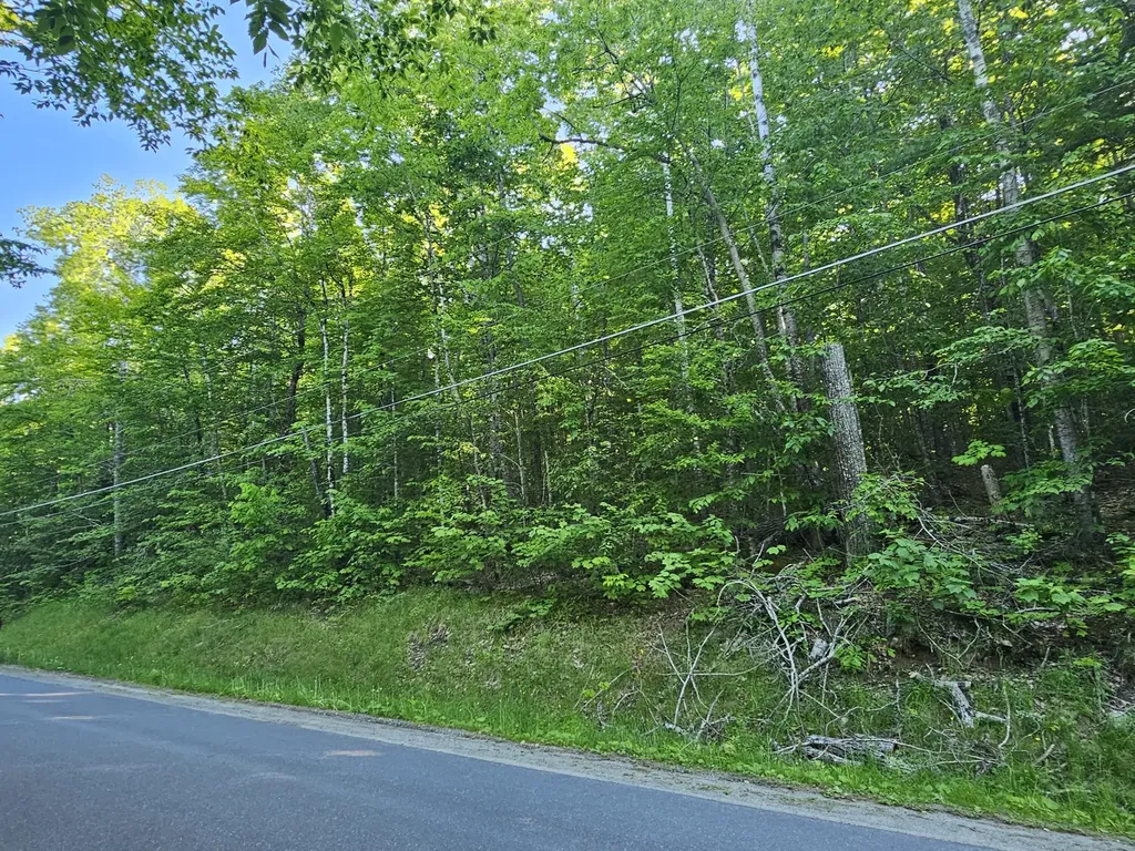 PL5,6,9,10 Great Moose Drive Hartland ME 04493