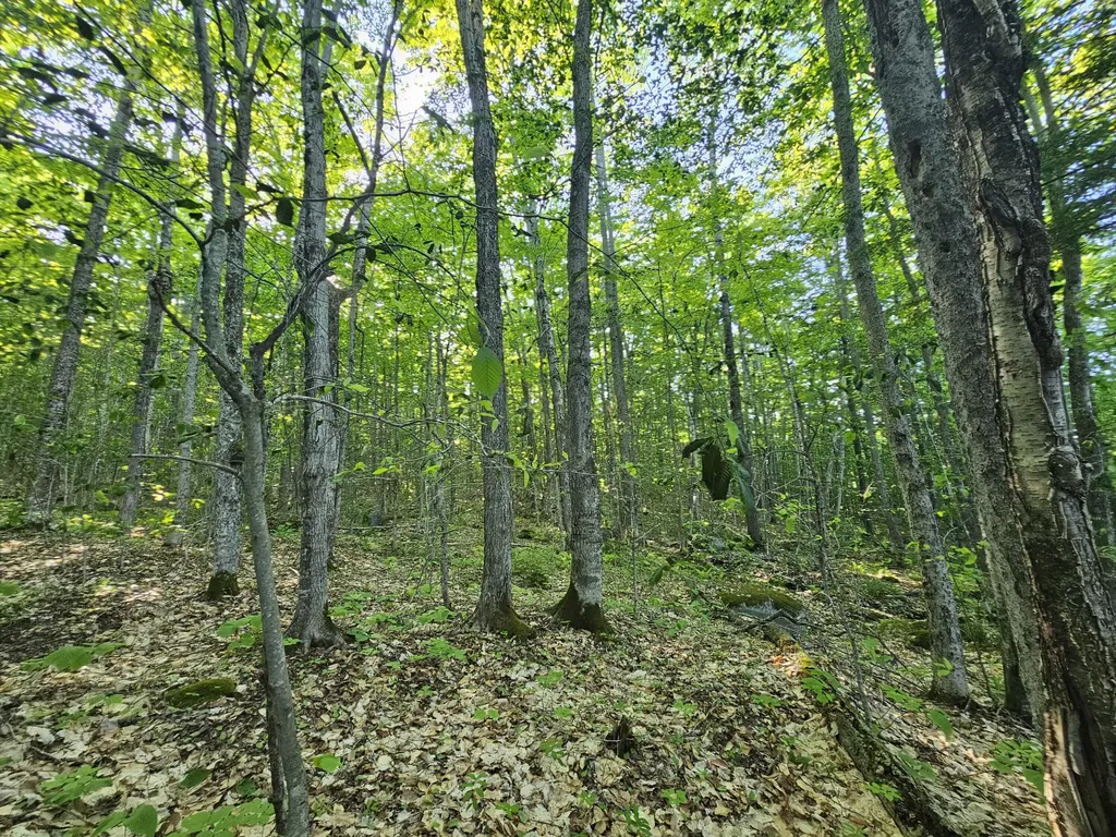 PL5,6,9,10 Great Moose Drive Hartland ME 04493