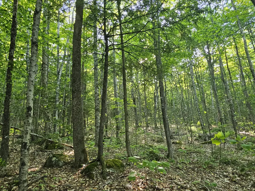 PL5,6,9,10 Great Moose Drive Hartland ME 04493