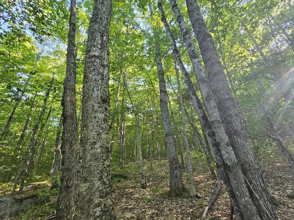 PL5,6,9,10 Great Moose Drive Hartland ME 04493
