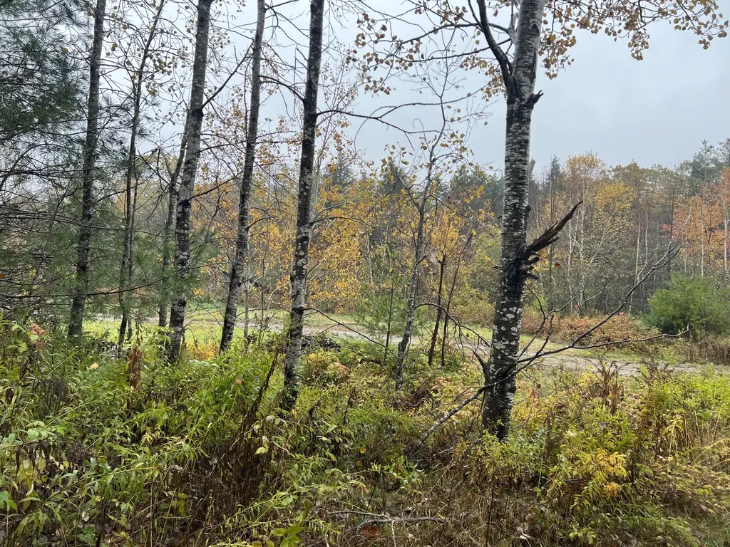 Tbd Lot Norway Road Waterford ME 04088