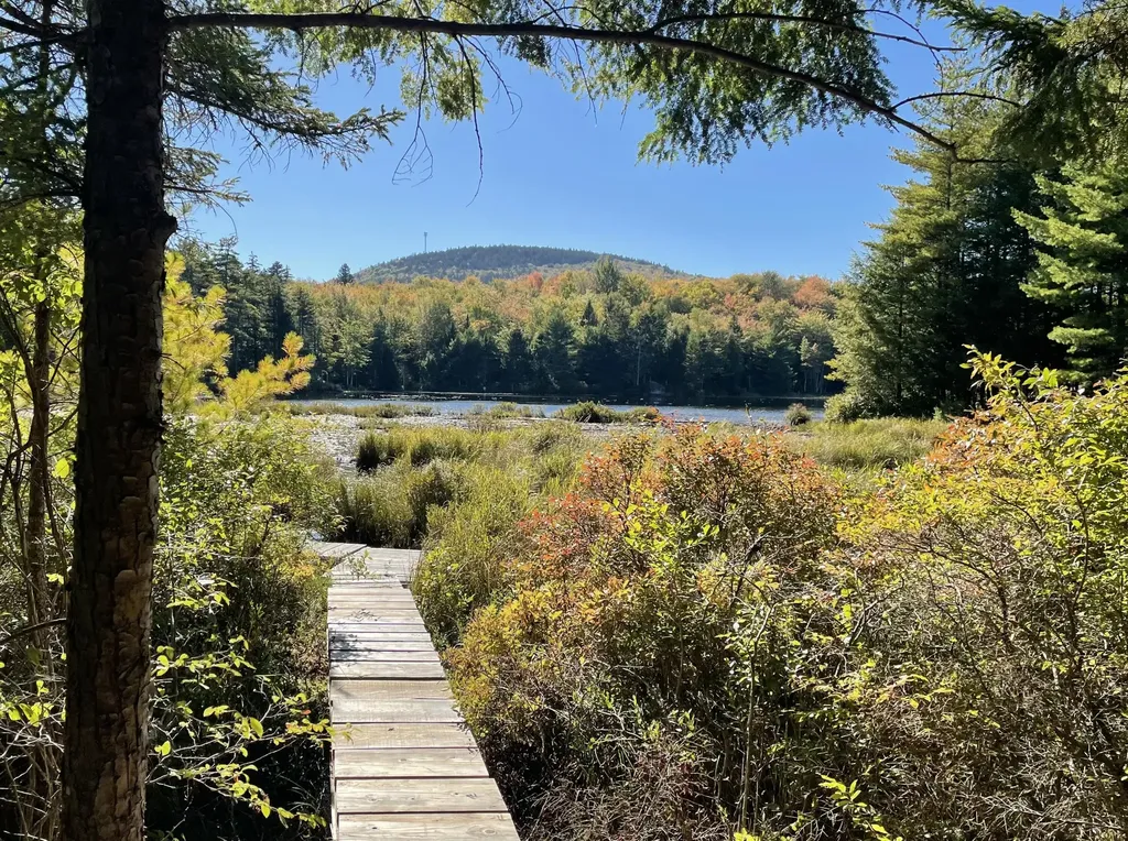0 Pine Hill Lane Blue Hill ME 04614