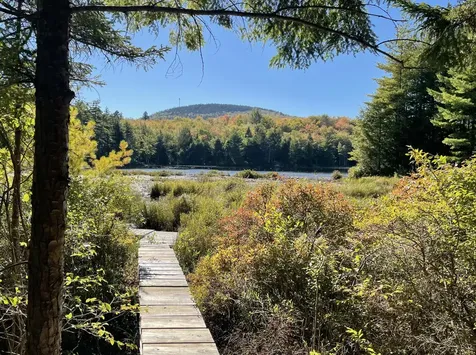 0 Pine Hill Lane Blue Hill ME 04614