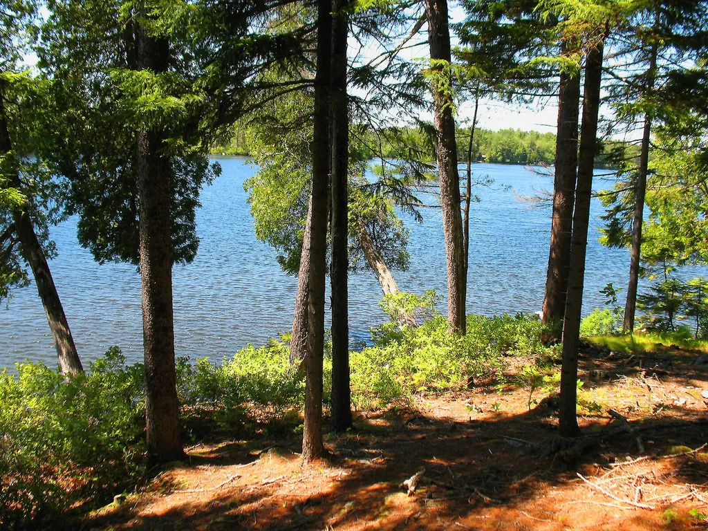 10-6 Vista Way Mount Desert ME 04660