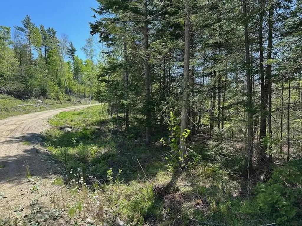 Lot 1 Mount Jefferson Heights Lee ME 04455