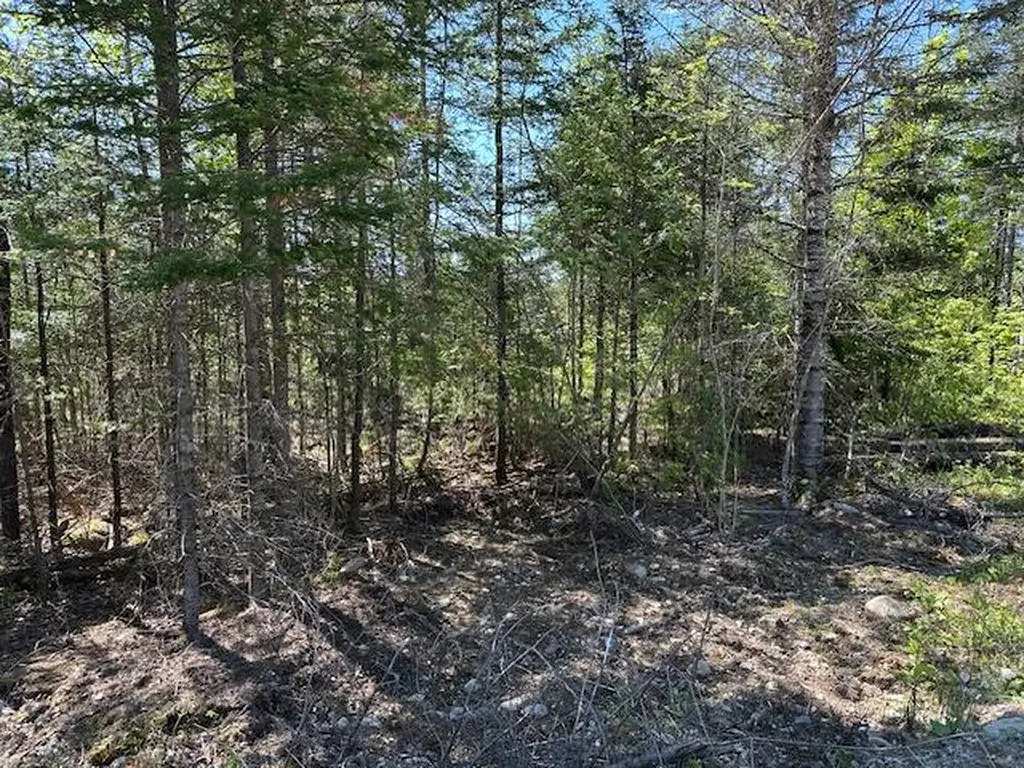 Lot 1 Mount Jefferson Heights Lee ME 04455