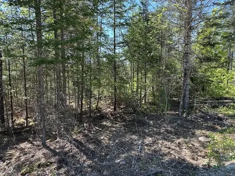 Lot 1 Mount Jefferson Heights Lee ME 04455