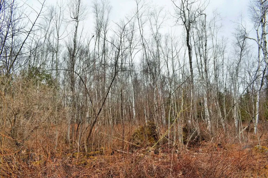 PO72,P090 Cotta Lane & Route 43 Saint Albans ME 04971