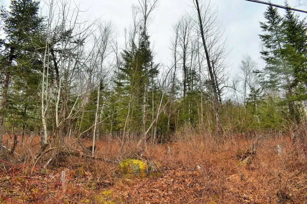 PO72,P090 Cotta Lane & Route 43 Saint Albans ME 04971