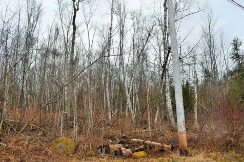 PO72,P090 Cotta Lane & Route 43 Saint Albans ME 04971