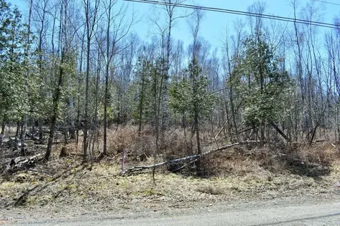 PO72,P090 Cotta Lane & Route 43 Saint Albans ME 04971