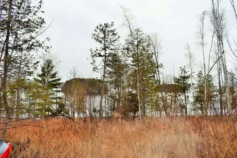 PO72,P090 Cotta Lane & Route 43 Saint Albans ME 04971