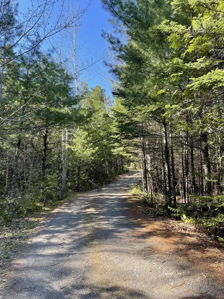 20 Chase Brook Drive Alexander ME 04694