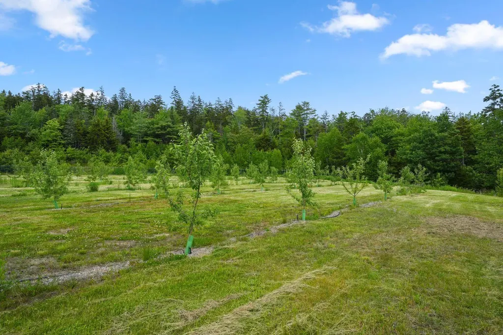 Lot 50-2 Serene Drive Northport ME 04849