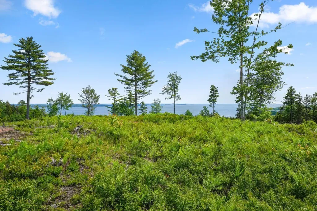 Lot 50-2 Serene Drive Northport ME 04849