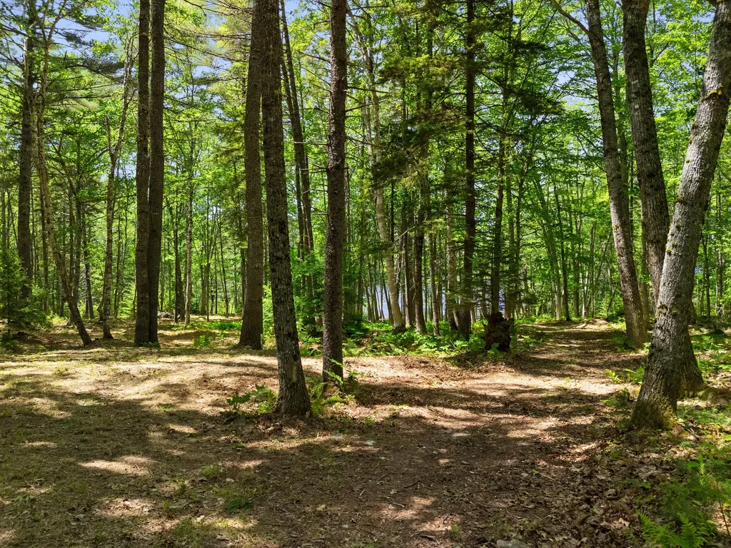 Part Of Map 26 Lot 46 & 48 Mullins Bog Road Lincolnville ME 04849