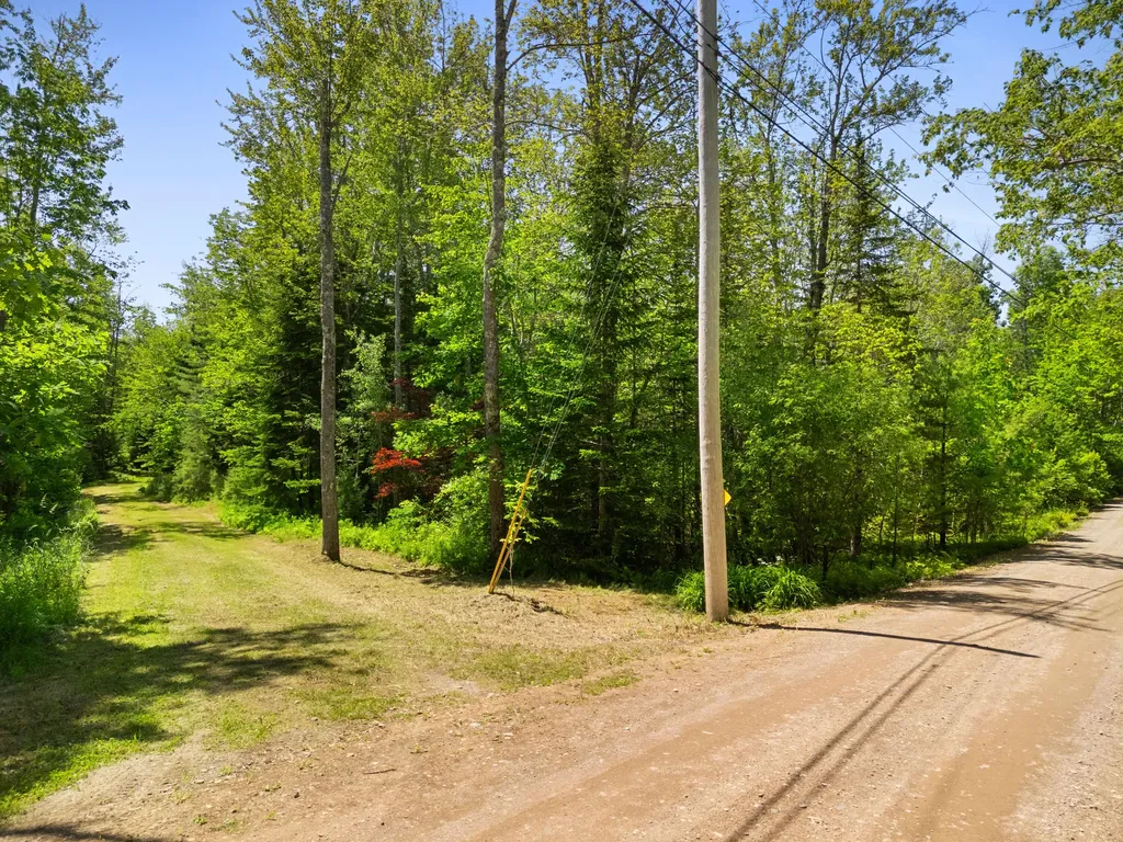 Part Of Map 26 Lot 46 & 48 Mullins Bog Road Lincolnville ME 04849