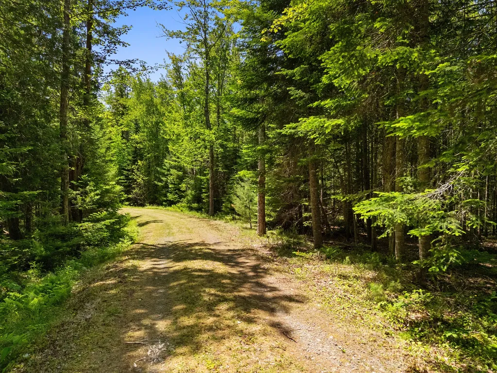 Part Of Map 26 Lot 46 & 48 Mullins Bog Road Lincolnville ME 04849