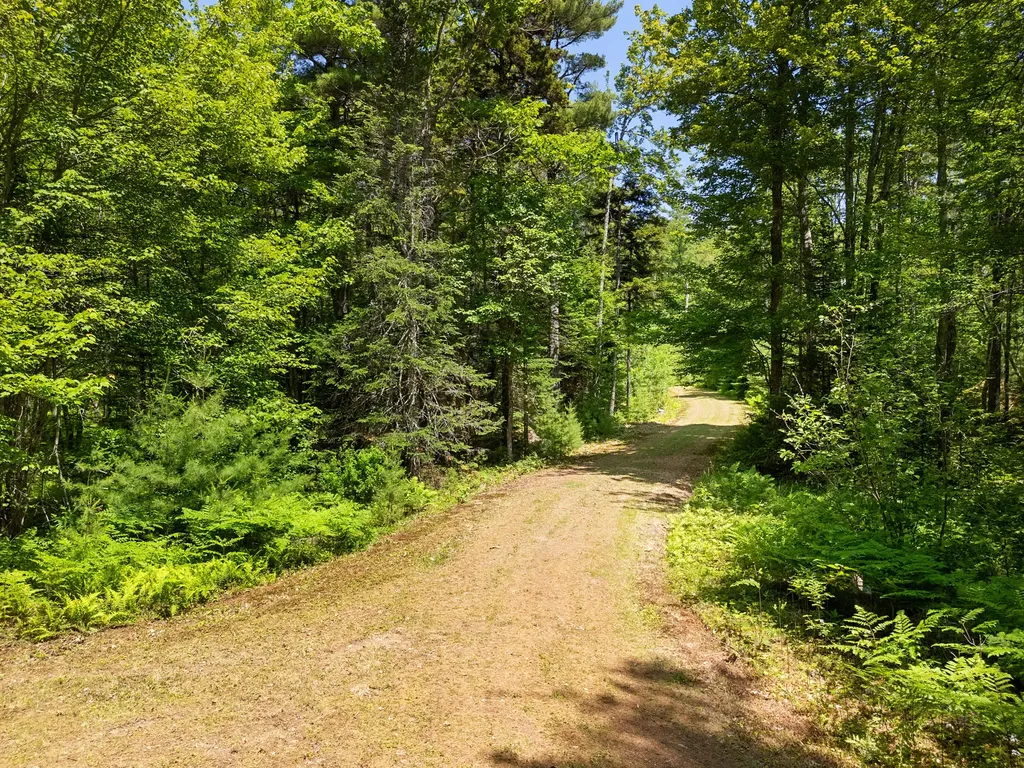 Part Of Map 26 Lot 46 & 48 Mullins Bog Road Lincolnville ME 04849
