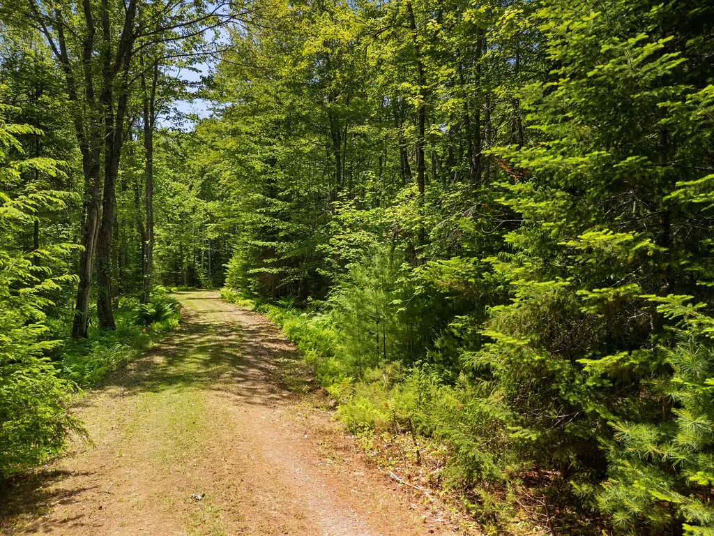 Part Of Map 26 Lot 46 & 48 Mullins Bog Road Lincolnville ME 04849