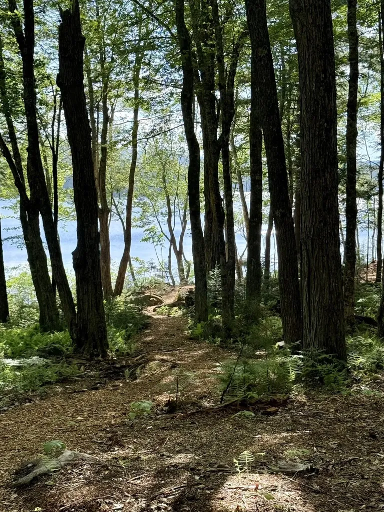 Part Of Map 26 Lot 46 & 48 Mullins Bog Road Lincolnville ME 04849
