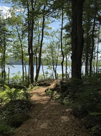 Part Of Map 26 Lot 46 & 48 Mullins Bog Road Lincolnville ME 04849