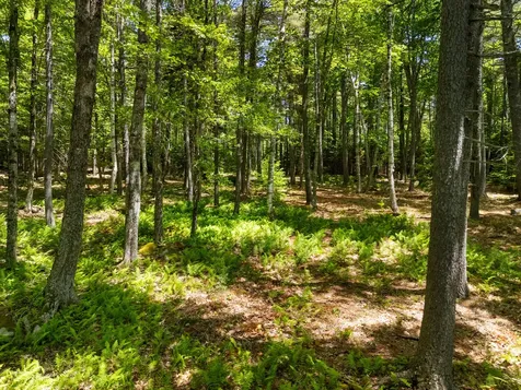 Part Of Map 26 Lot 46 & 48 Mullins Bog Road Lincolnville ME 04849