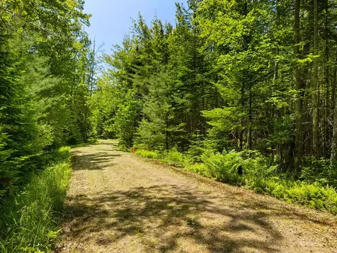 Part Of Map 26 Lot 46 & 48 Mullins Bog Road Lincolnville ME 04849